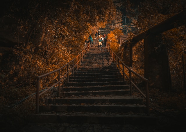 Shivapuri Hiking
