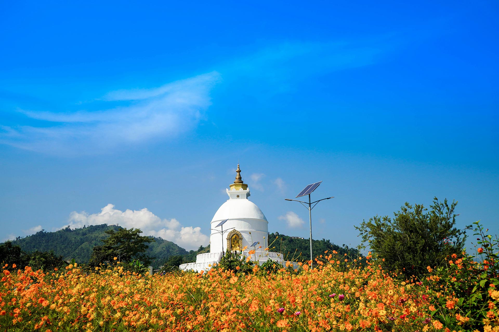 Full Day Tours